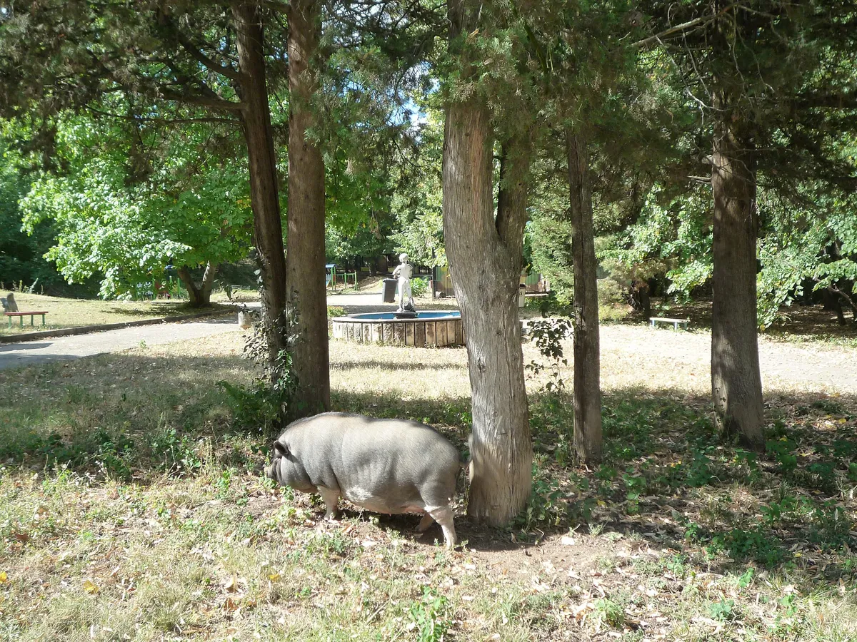 Lovech Zoo