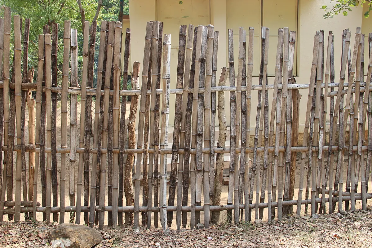 Kurumbapatti Zoological Park