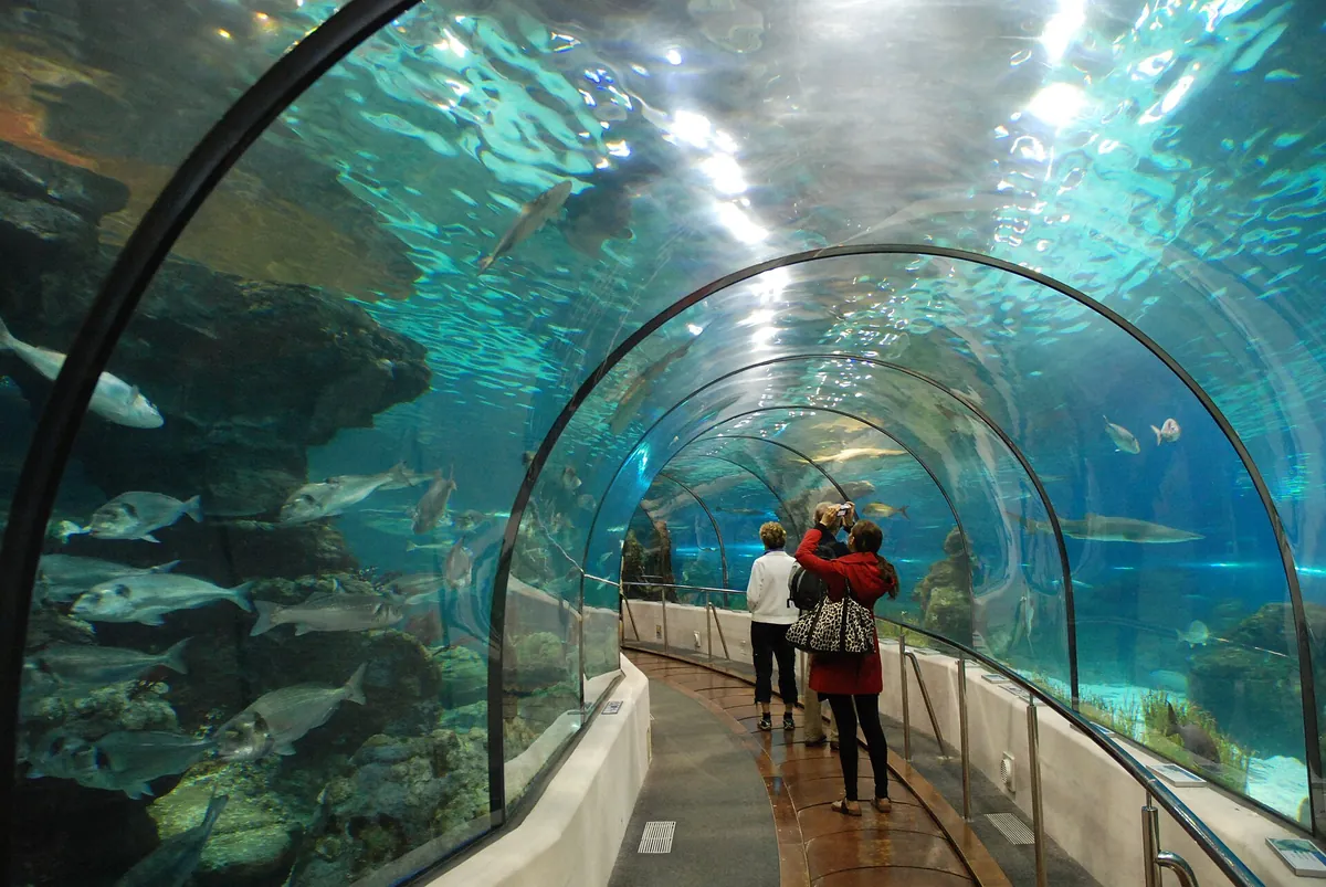 L’Aquàrium de Barcelona