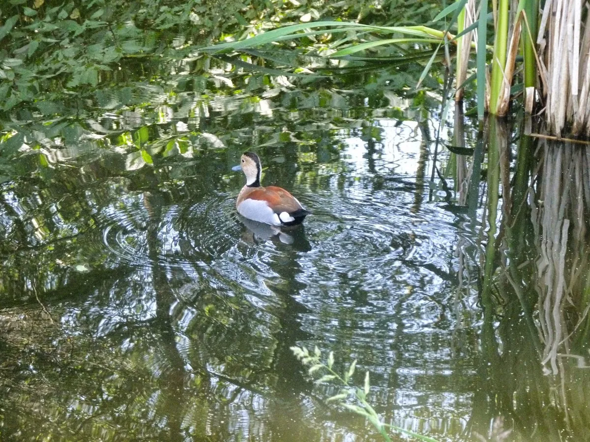 Tier- und Freizeitpark Thüle