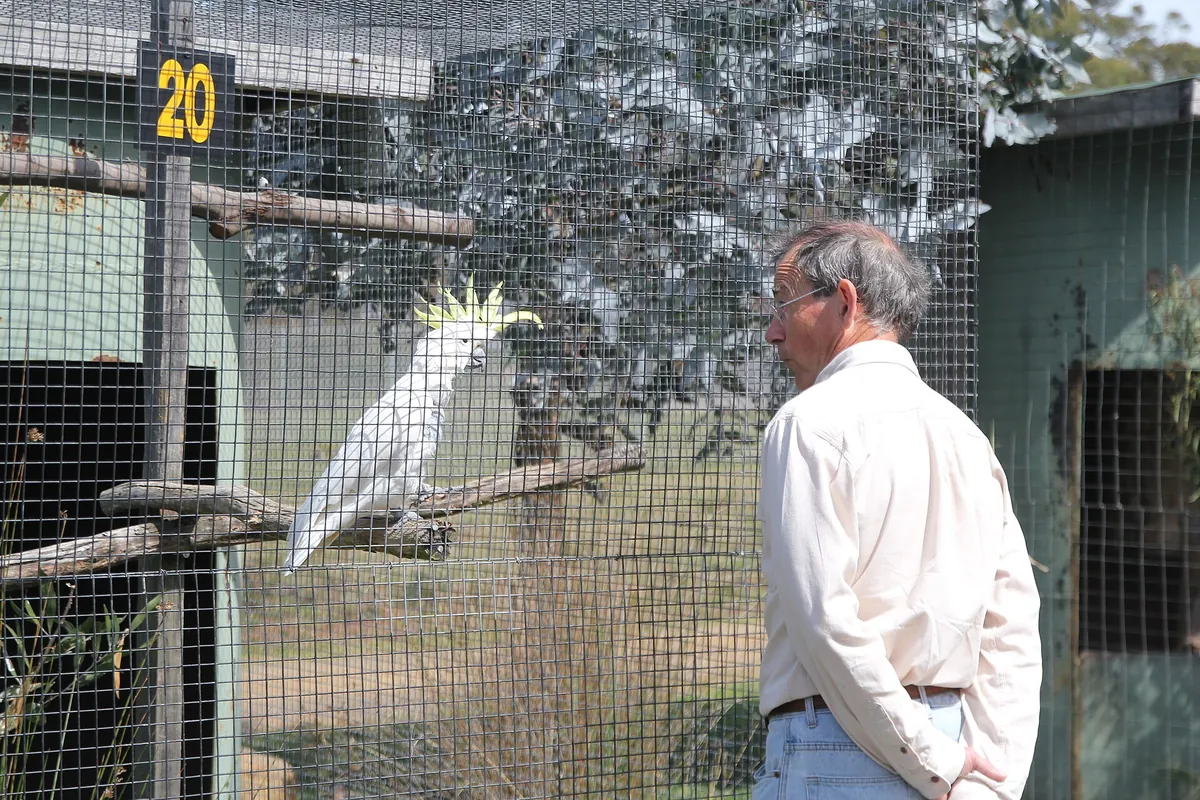 Tasmania Zoo