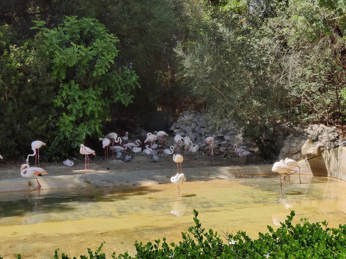 Zoobotánico Jerez