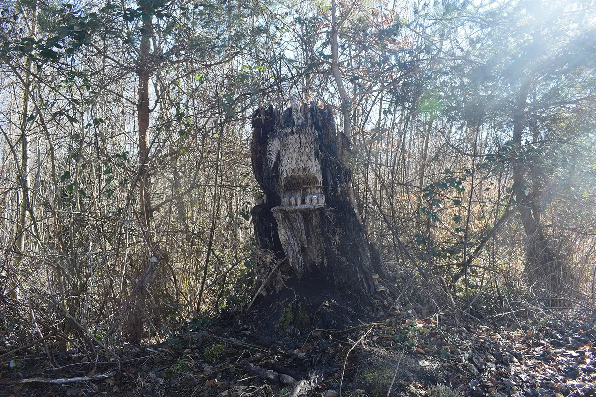 Tierpark Dählhölzli