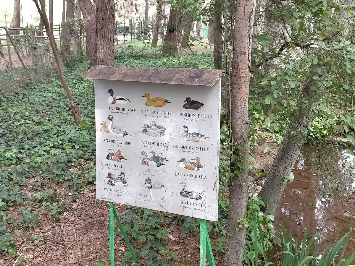PARQUE ZOOLÓGICO DE GUADALAJARA