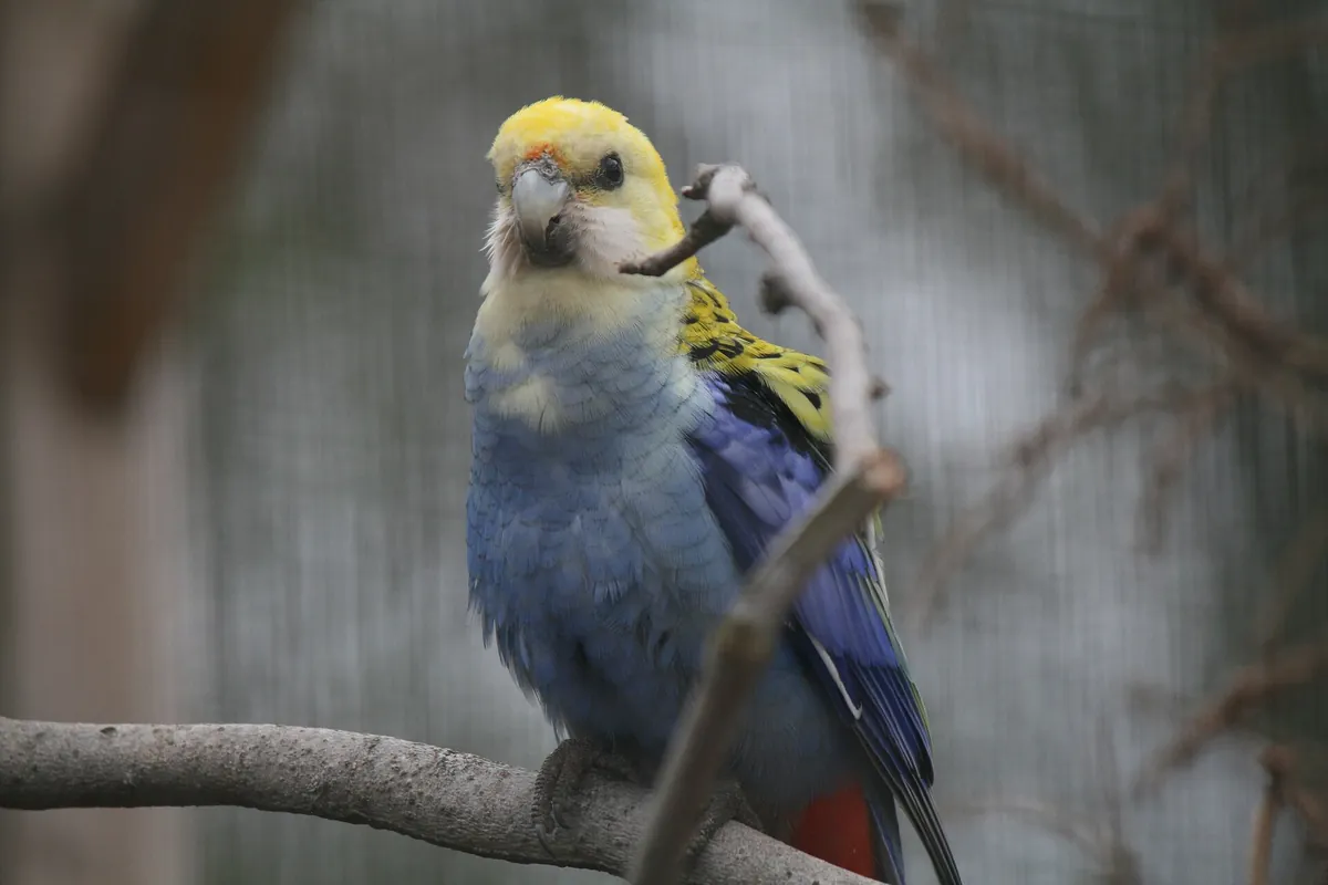 Northumberland College Zoo