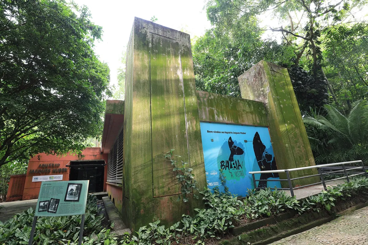 Jacques Huber Aquarium