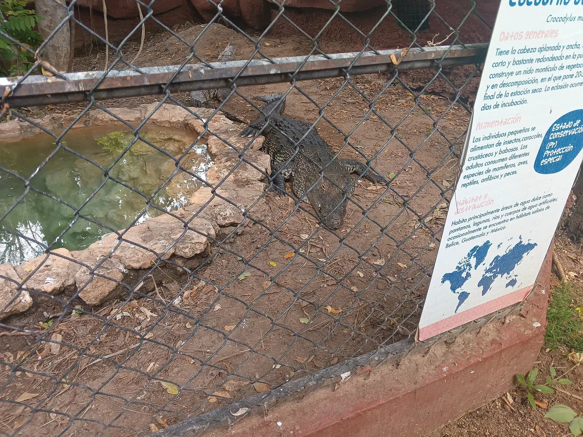 Parque del Centenario