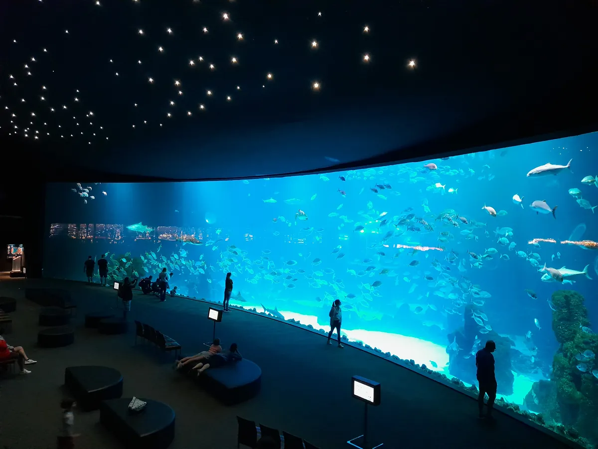 Poema del Mar Aquarium