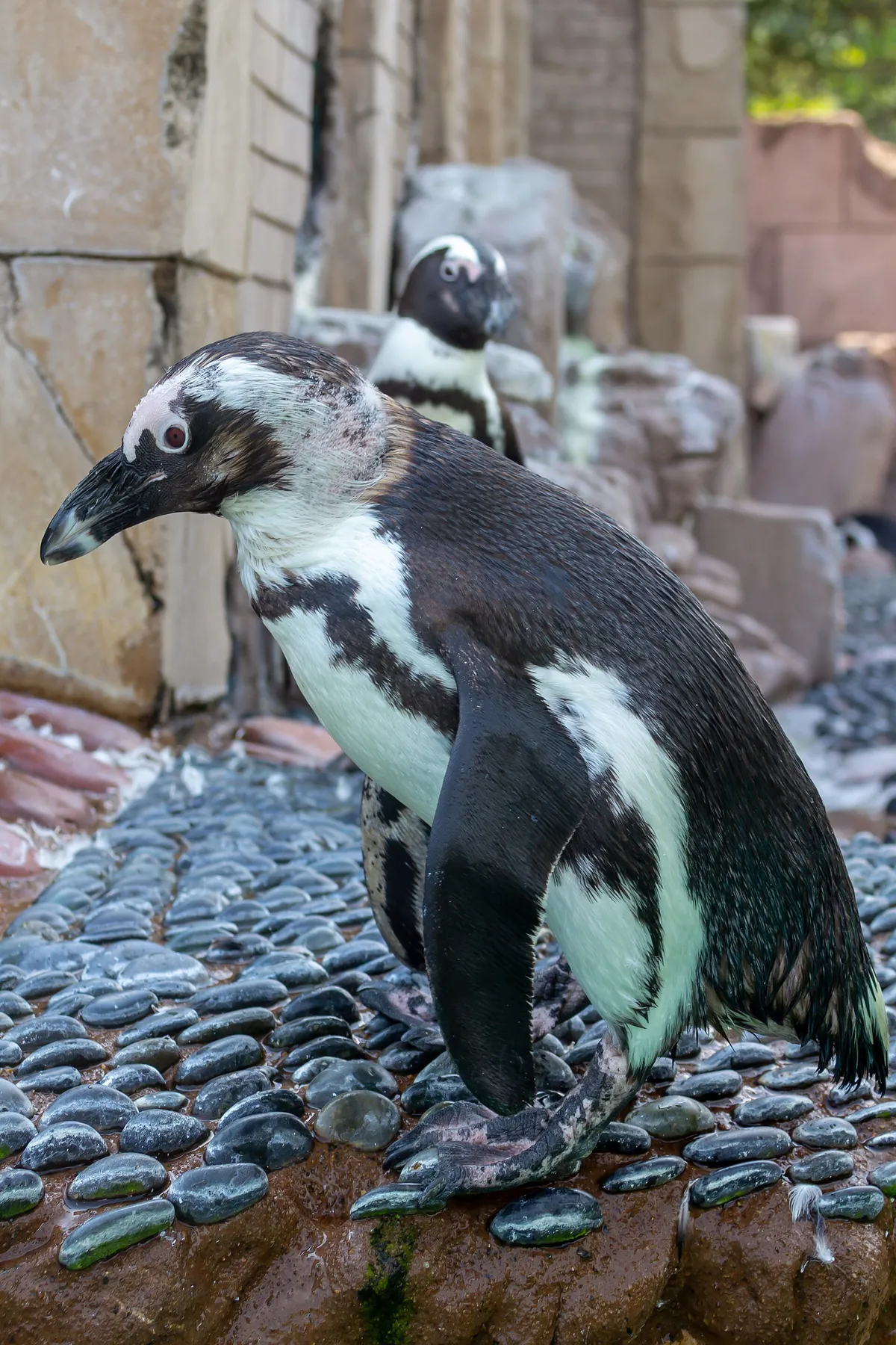 Long Island Aquarium and Exhibition Center