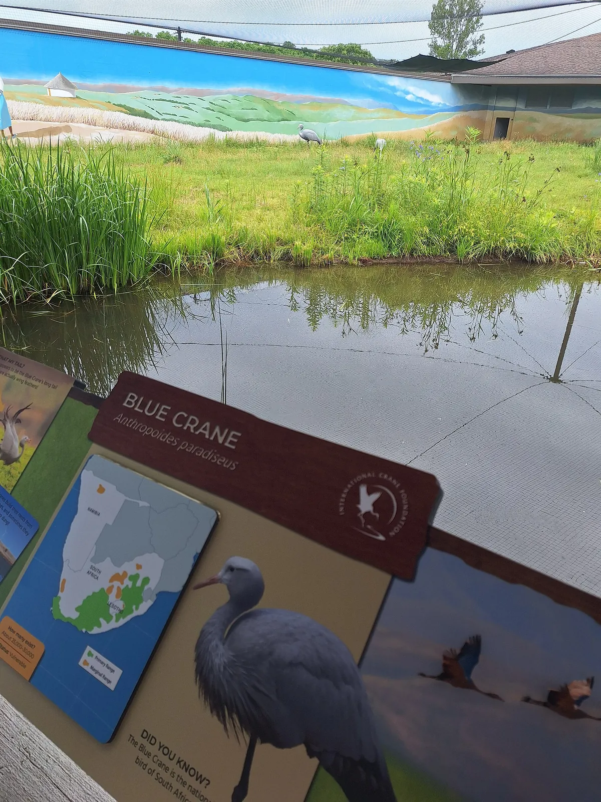 International Crane Foundation