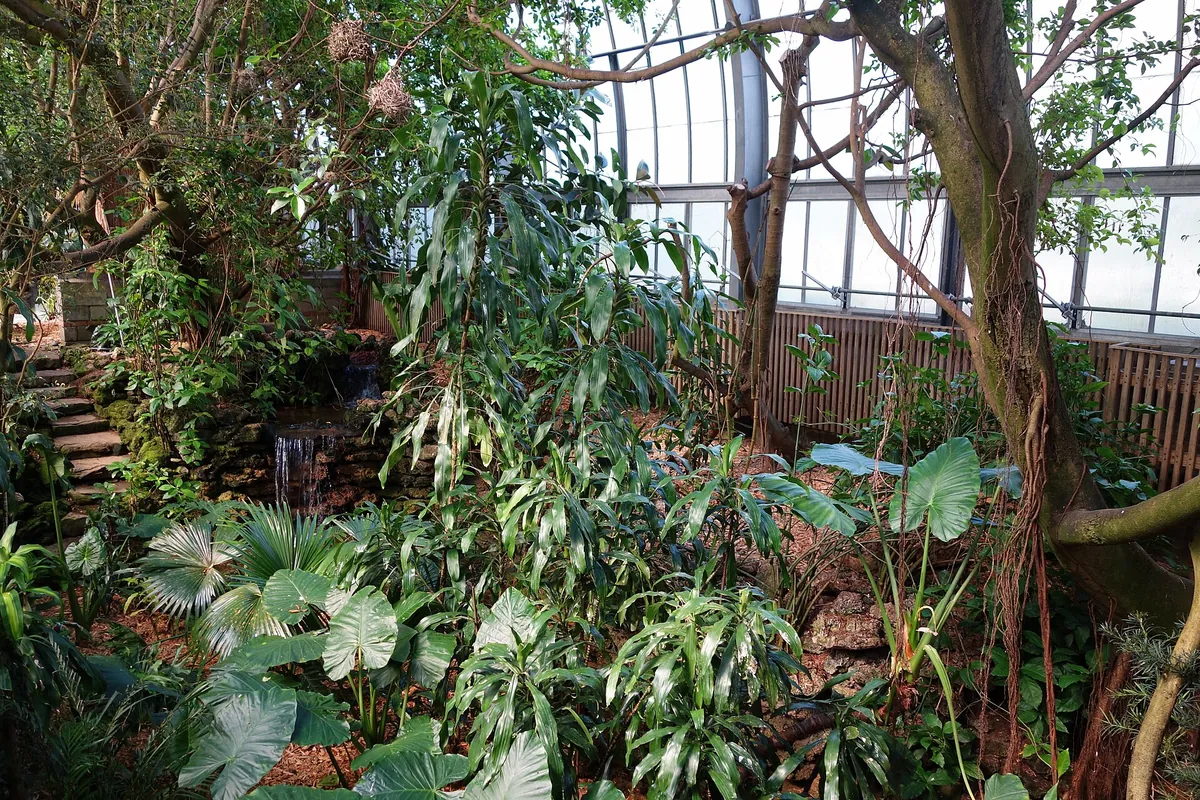 National Aviary