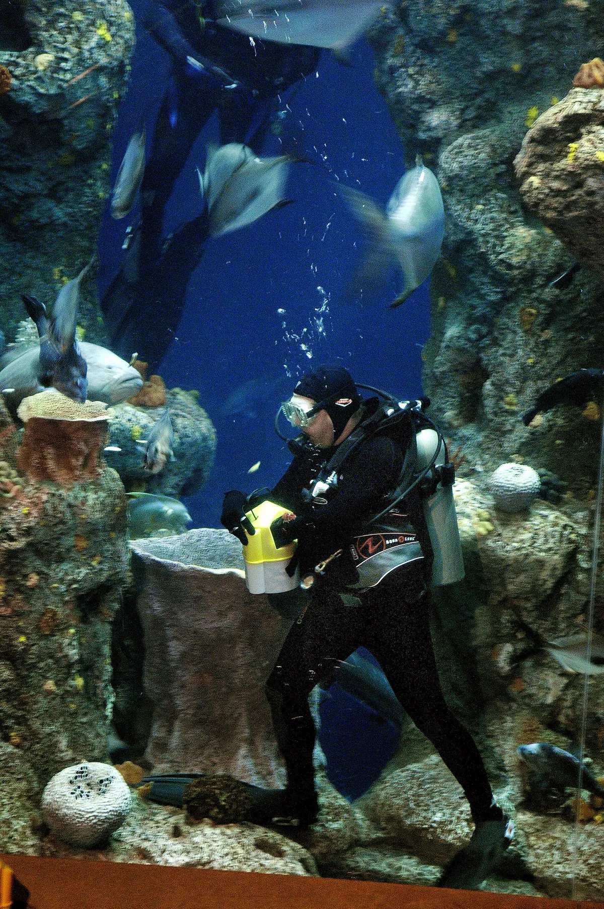 South Carolina Aquarium
