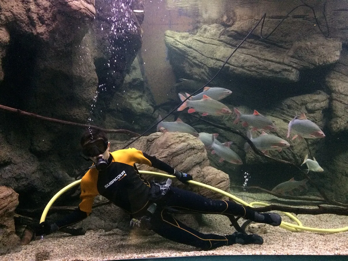 Aquarium River of Zaragoza
