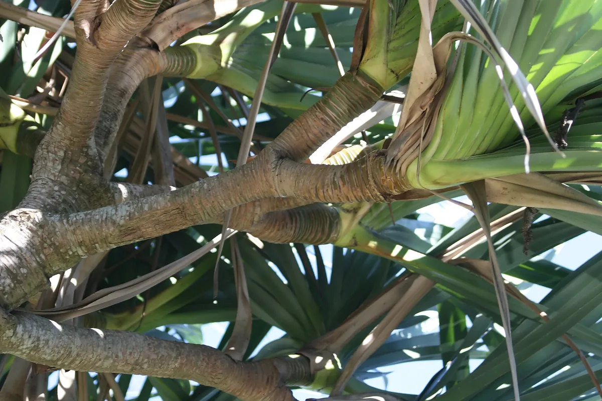 Zoo Miami