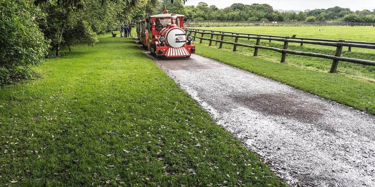 Fota Wildlife Park