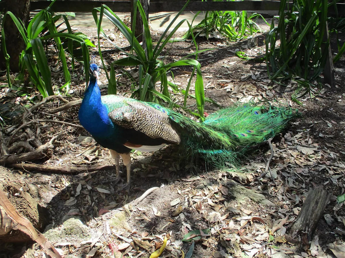 Ranger Red’s Zoo & Conservation Park