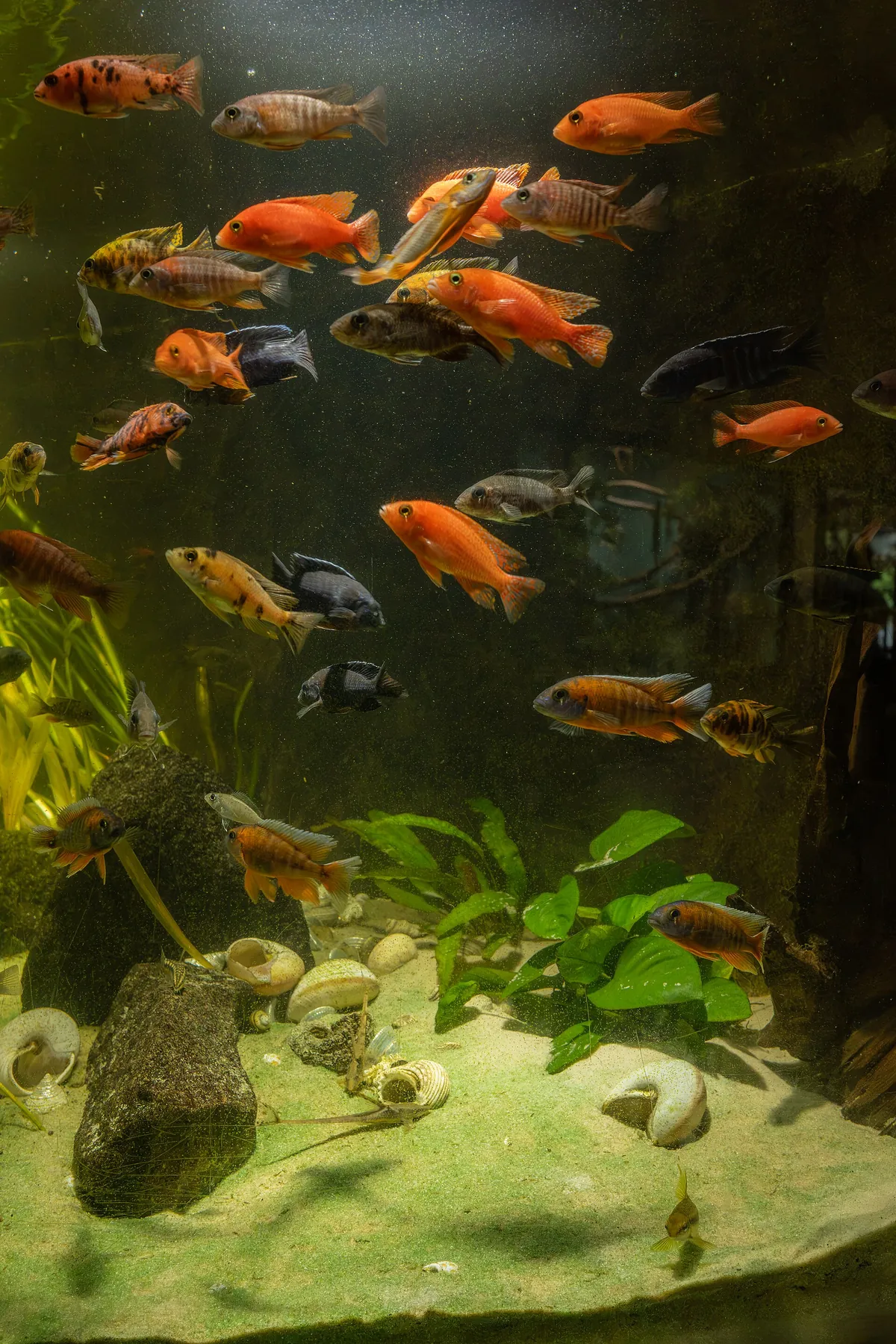 Exotarium Oberhof