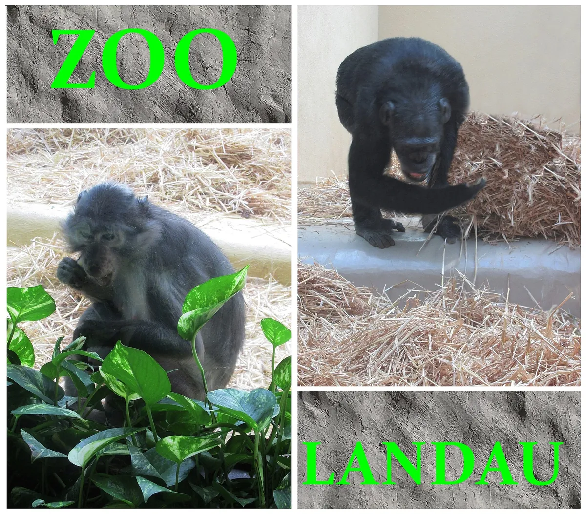 Zoo Landau in der Pfalz