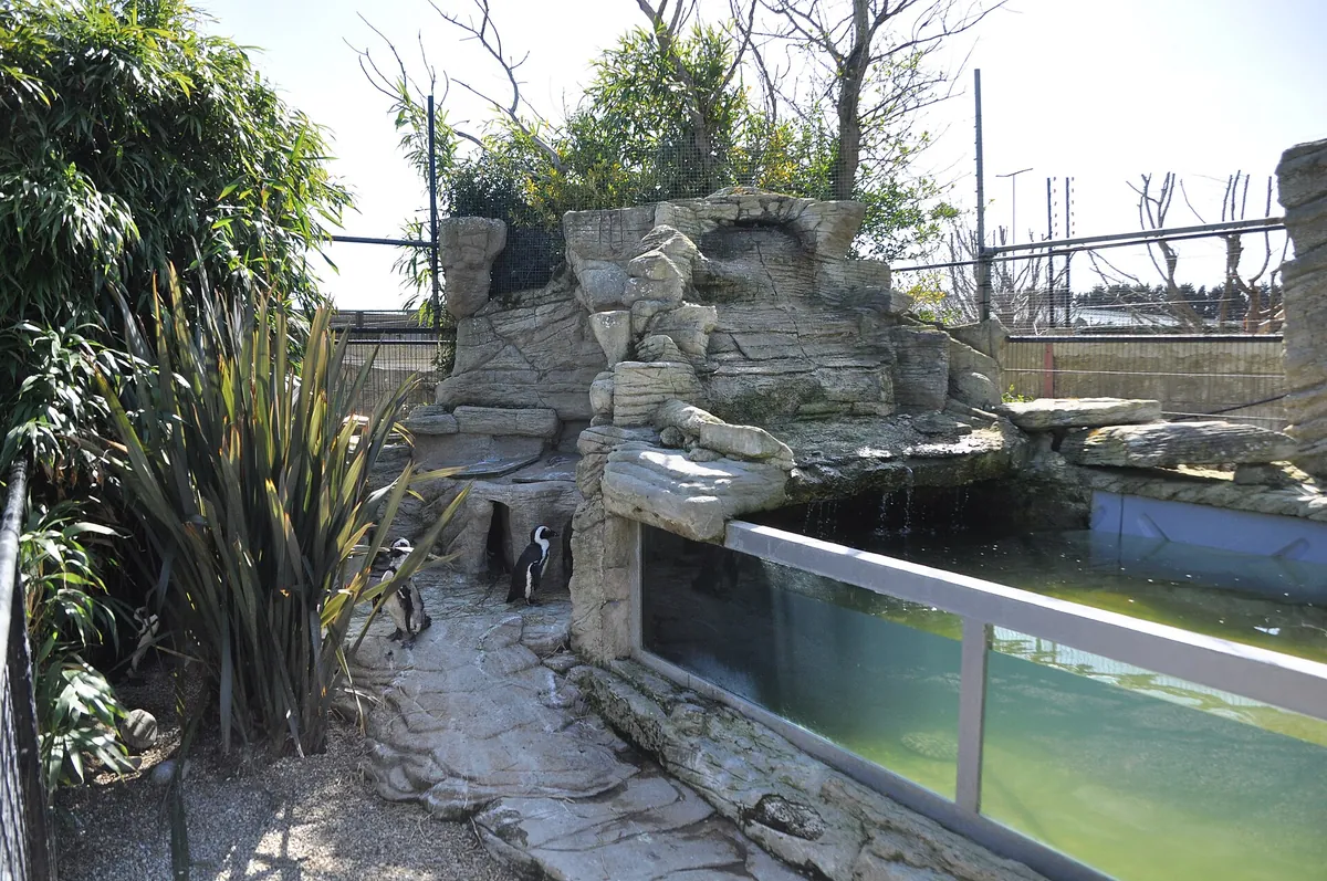 Amazon World Zoo Park