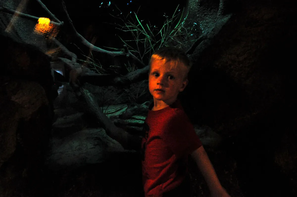 Taronga Zoo