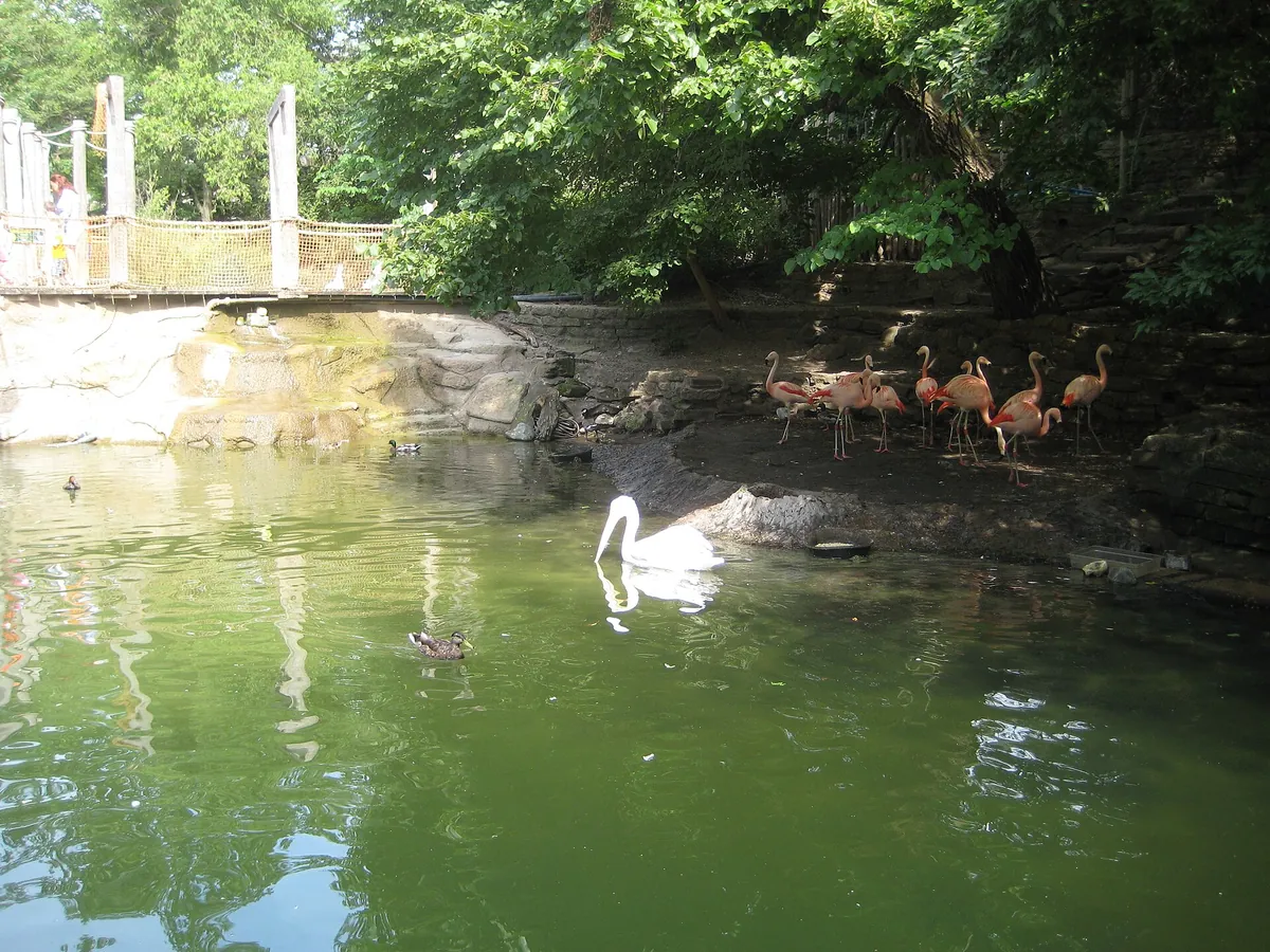 John Ball Zoo