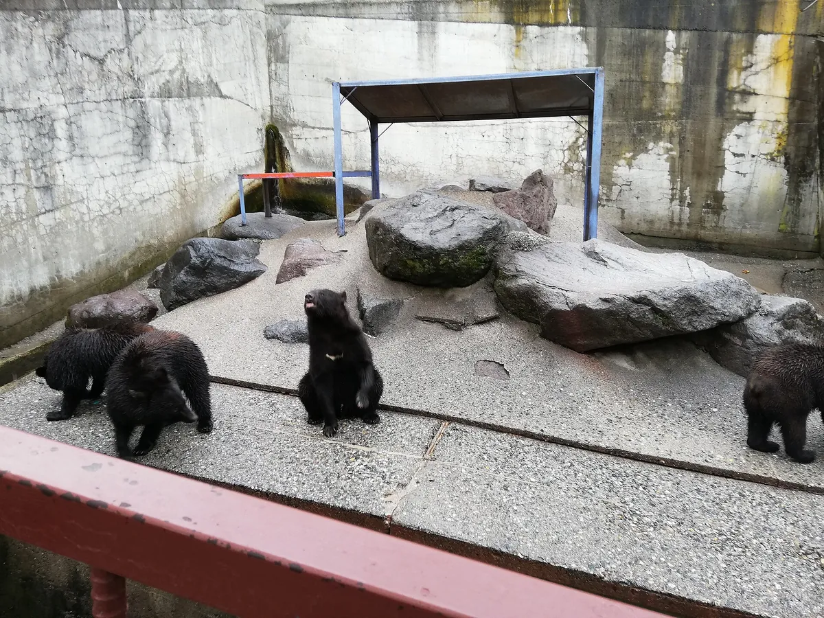 Okuhida Bear Park