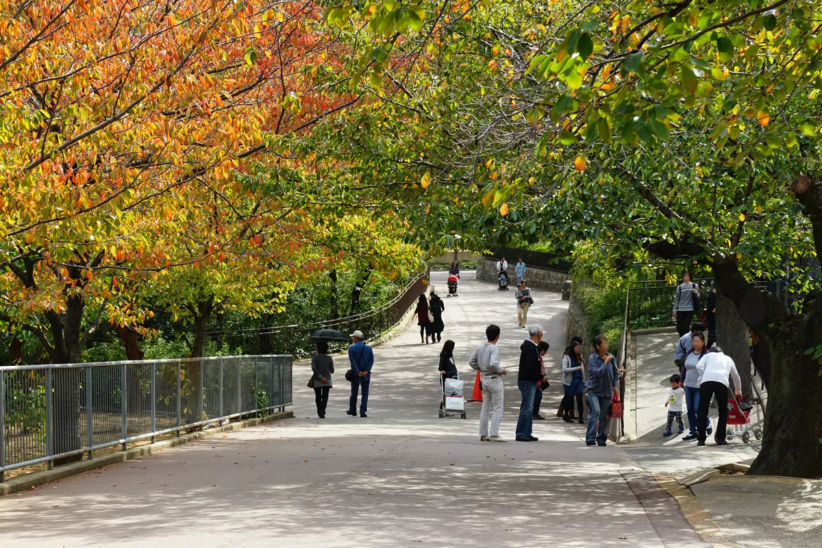 Kobe Oji Zoo