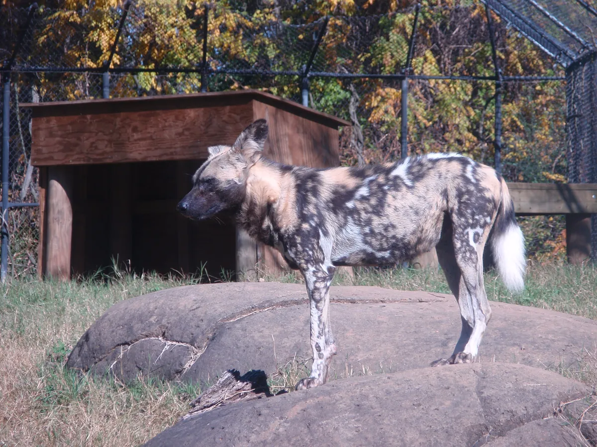 Zoo Knoxville
