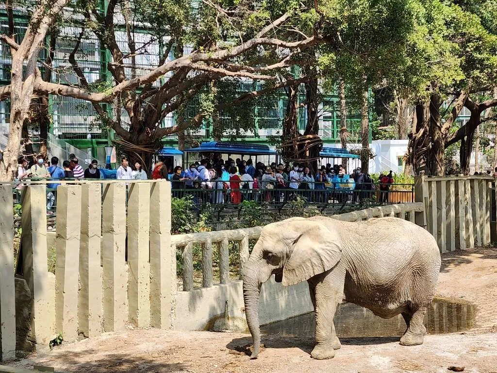 Shou Shan Zoo