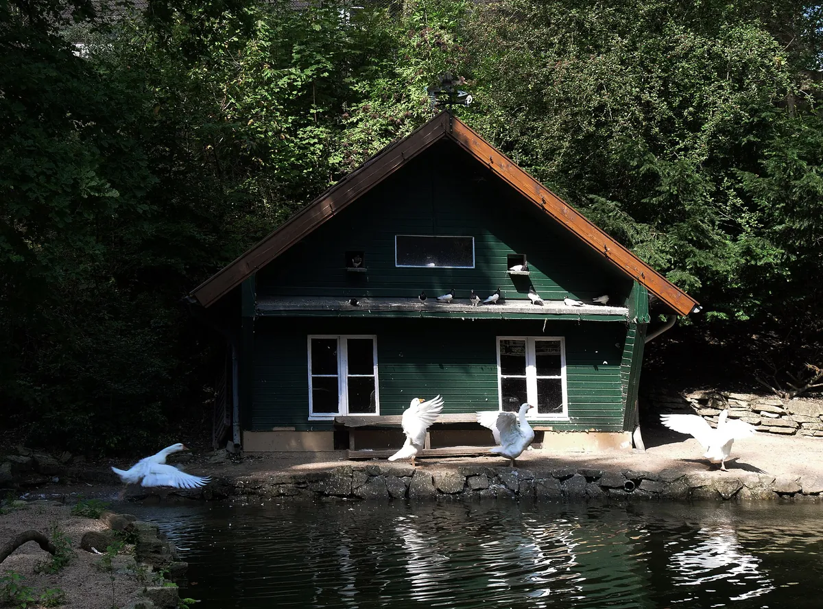 Heimat-Tierpark Olderdissen