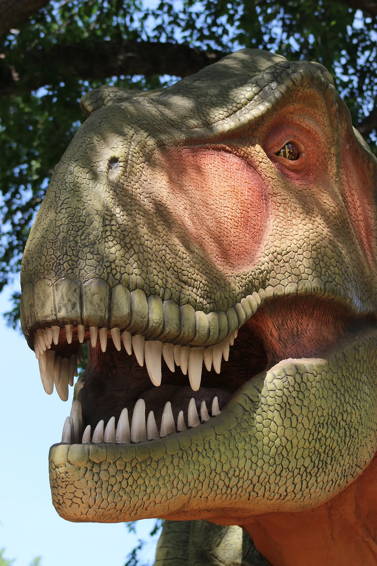 Tulsa Zoo