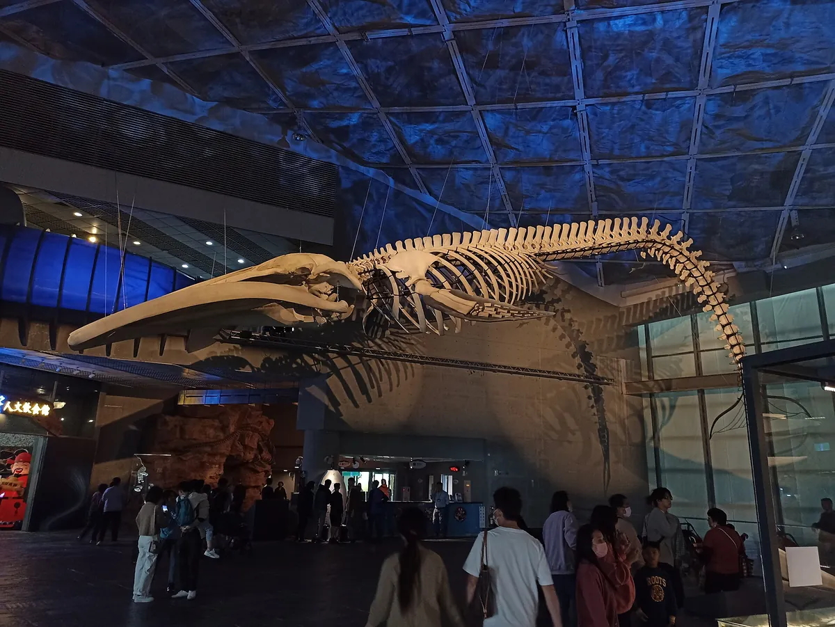 National Museum of Marine Biology and Aquarium