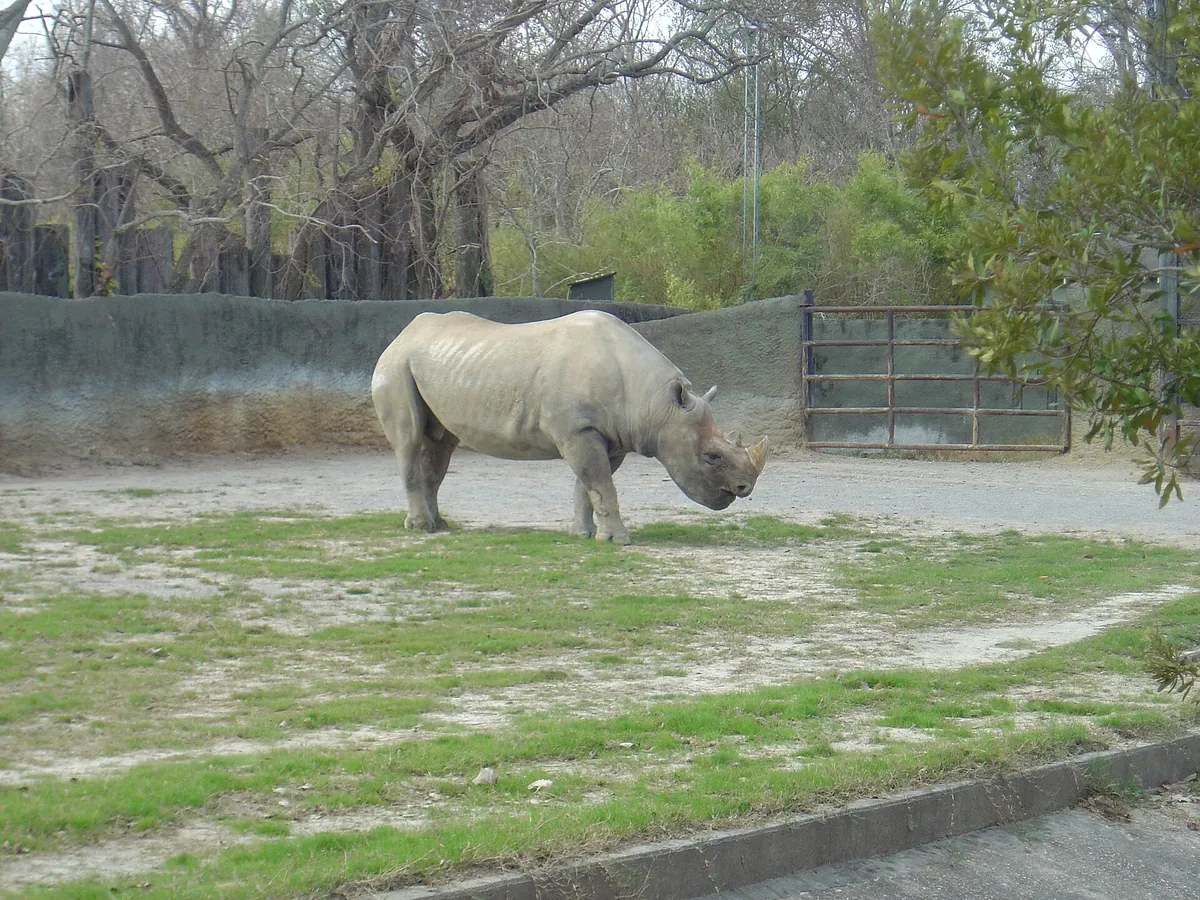 Baton Rouge Zoo