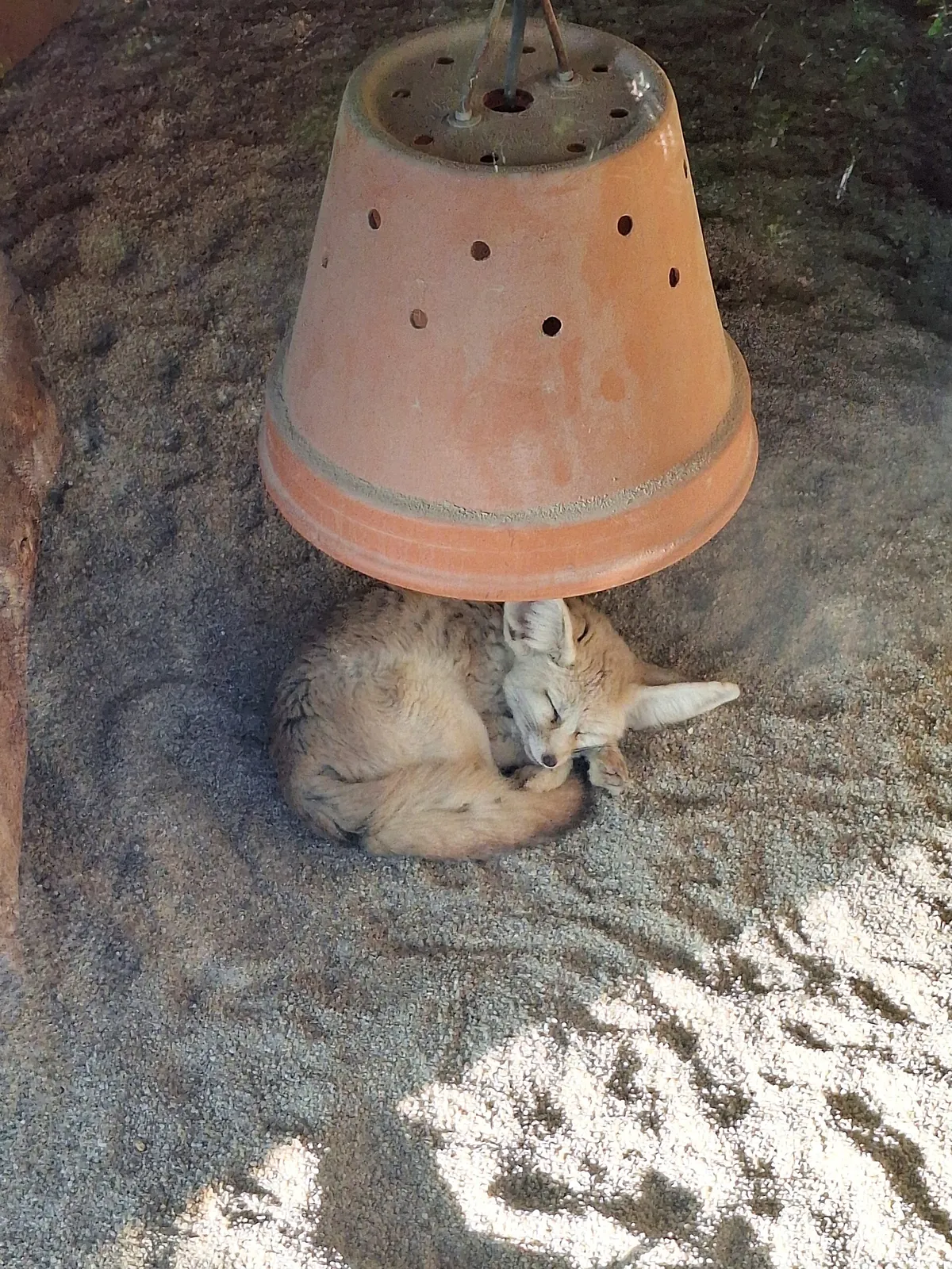 Olomouc Zoo