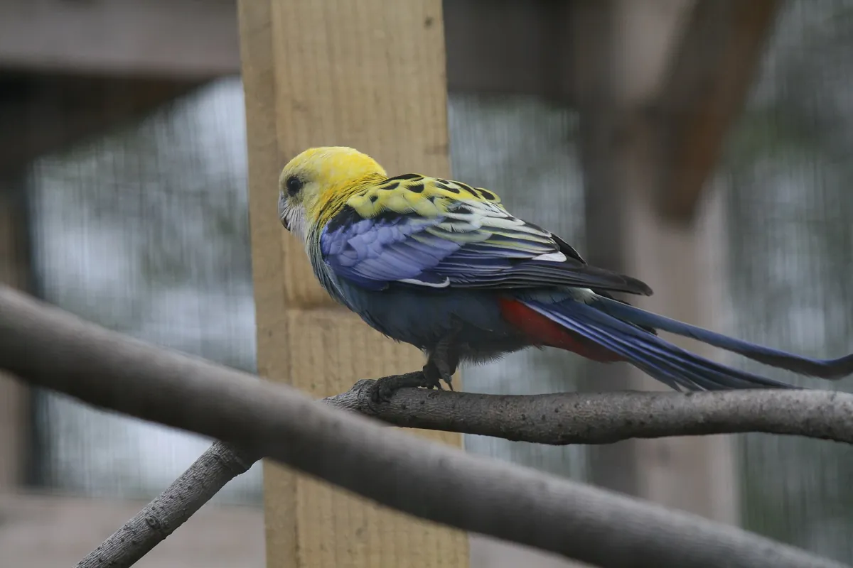 Northumberland College Zoo