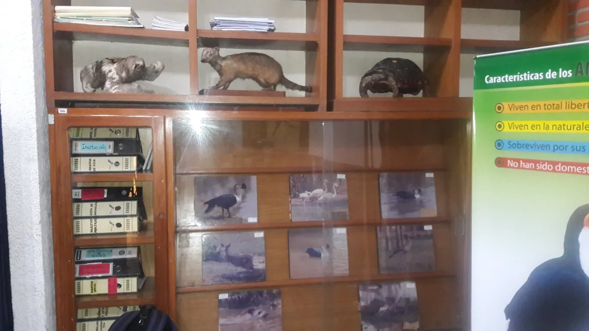 Zoológico de Fauna Sudamericana