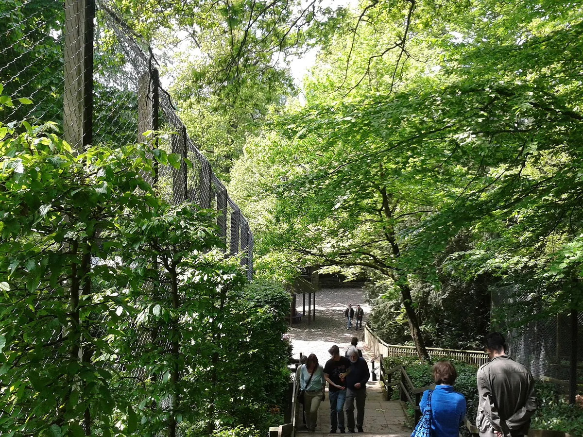 Heimat-Tierpark Olderdissen