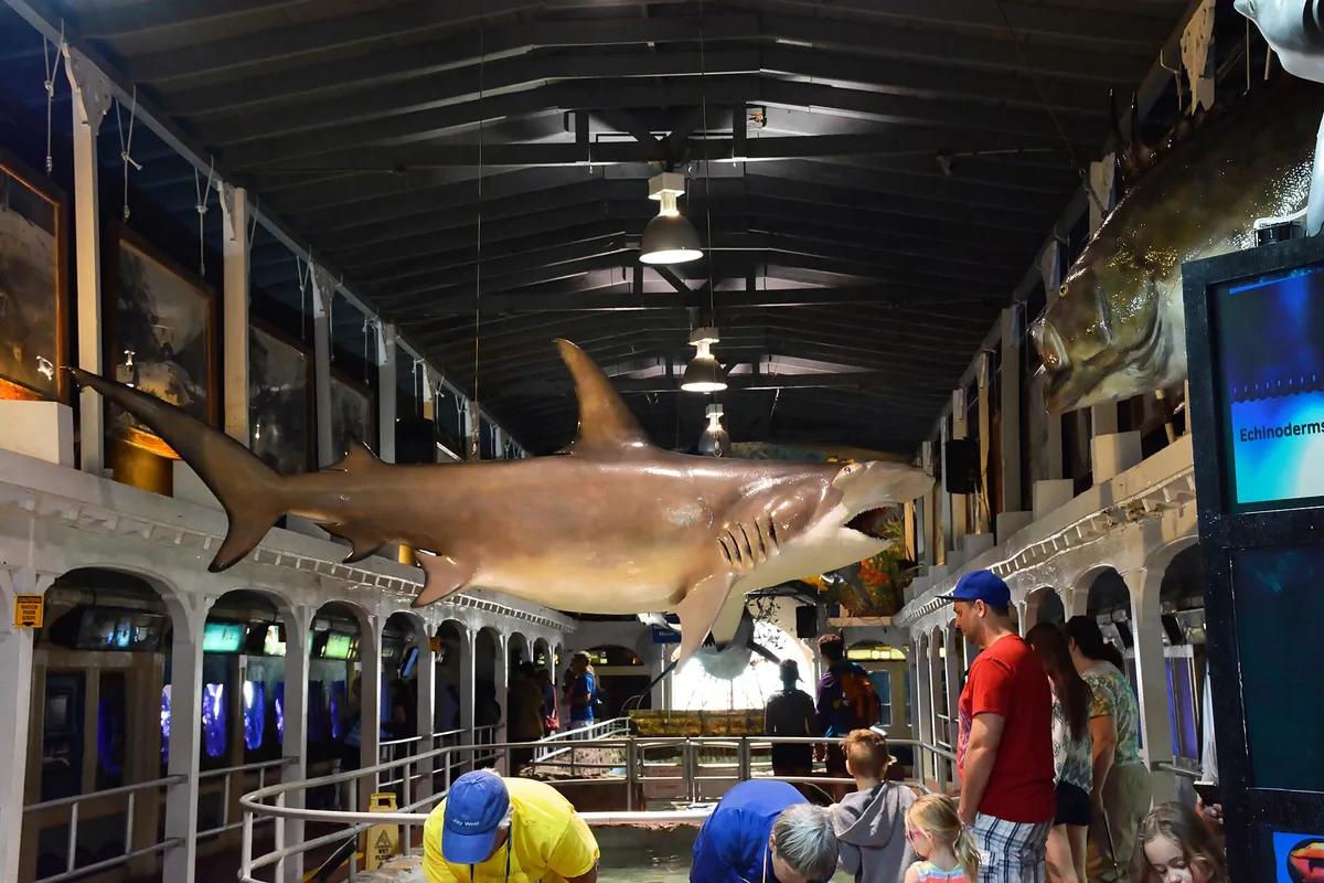 Key West Aquarium