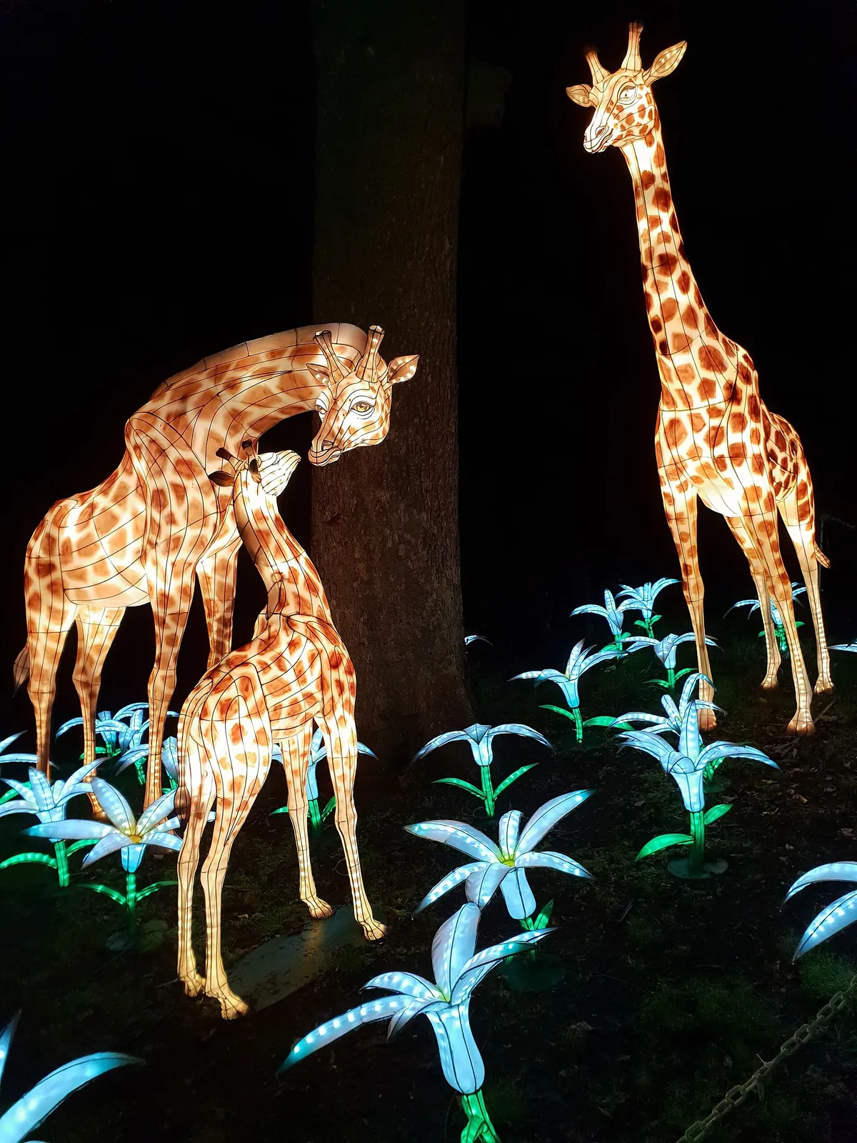 Edinburgh Zoo