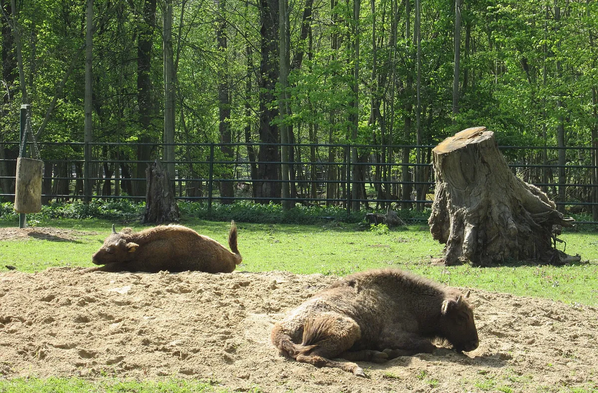 Wildpark Leipzig
