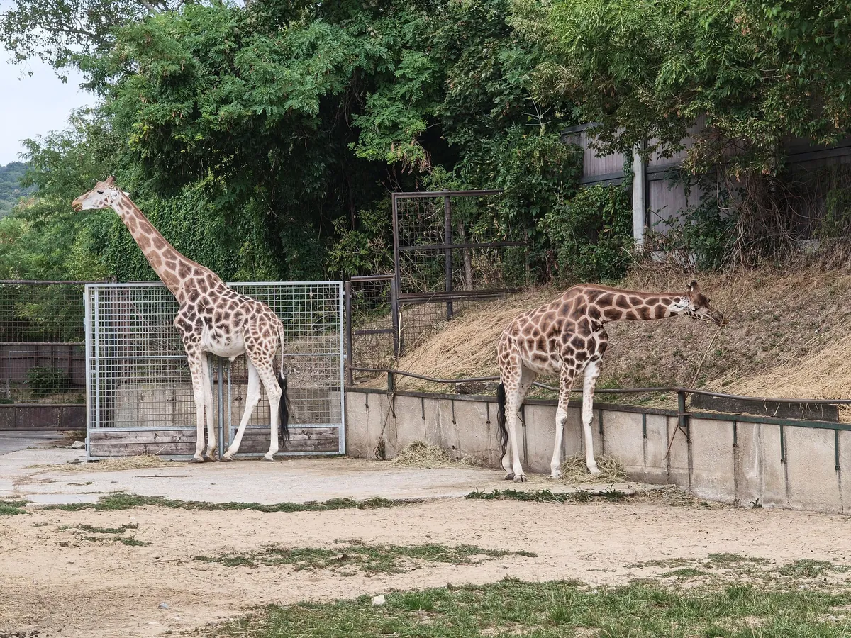 Bratislava Zoo