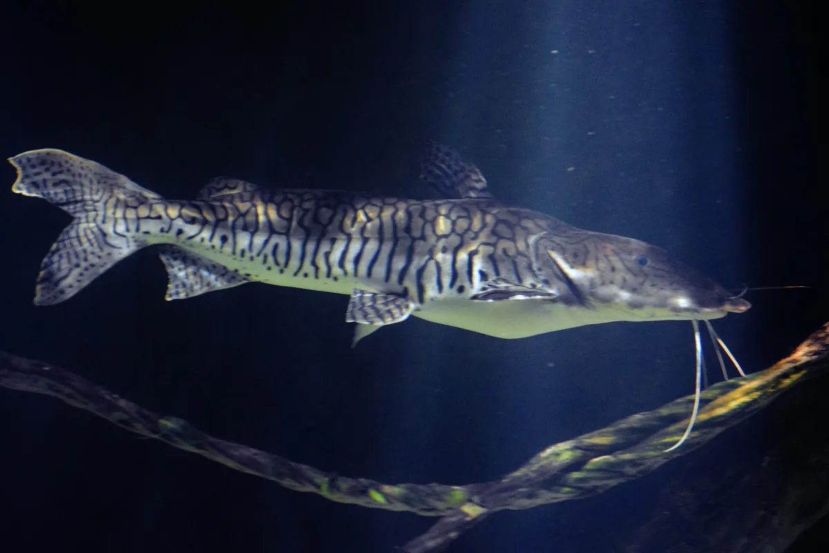 Sea Life İstanbul