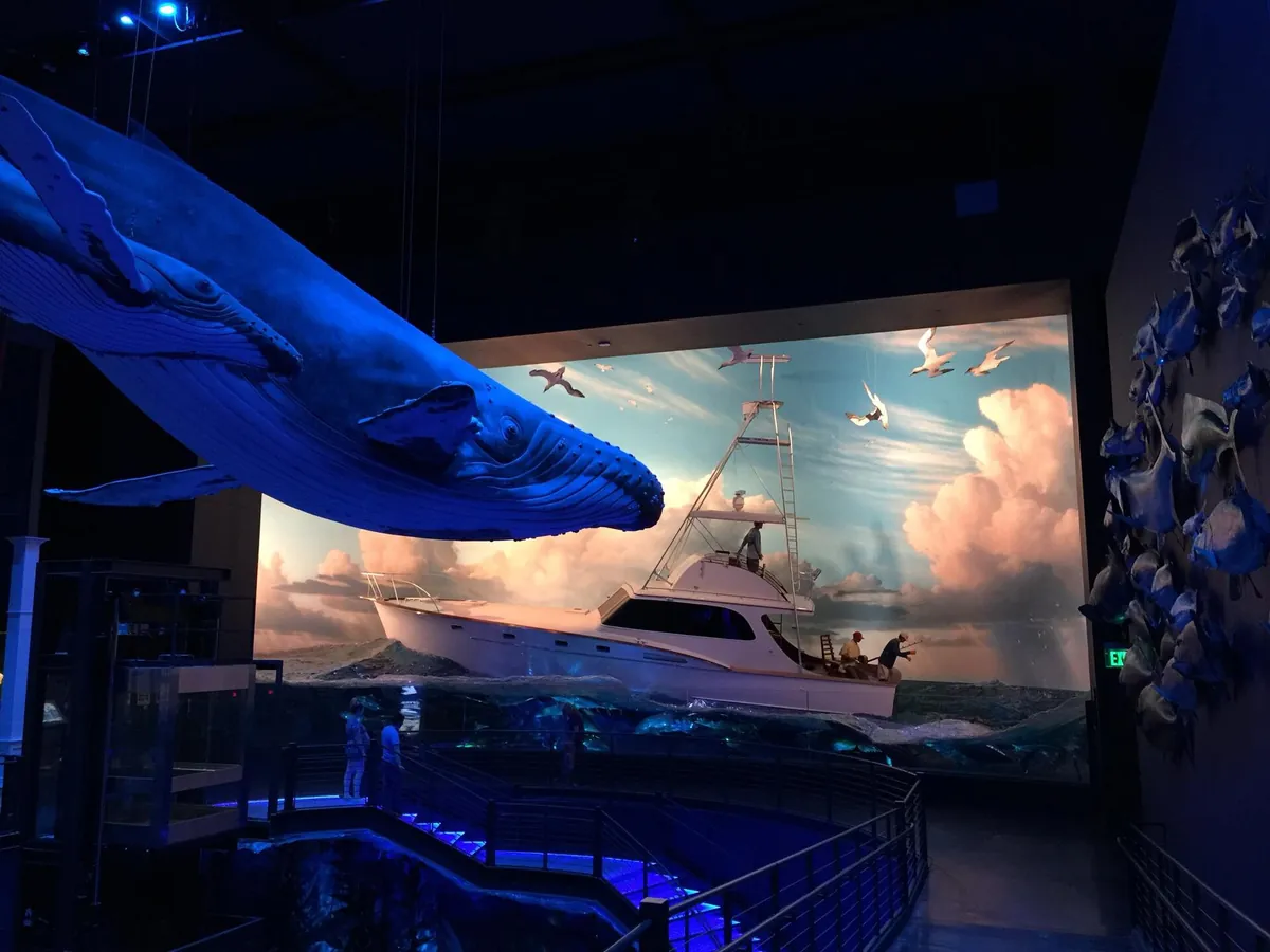 Johnny Morris' Wonders of Wildlife National Museum & Aquarium