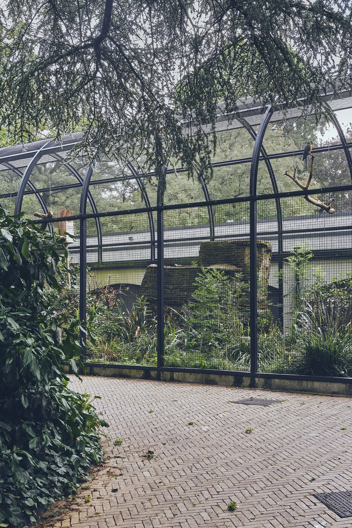 Artis Zoo