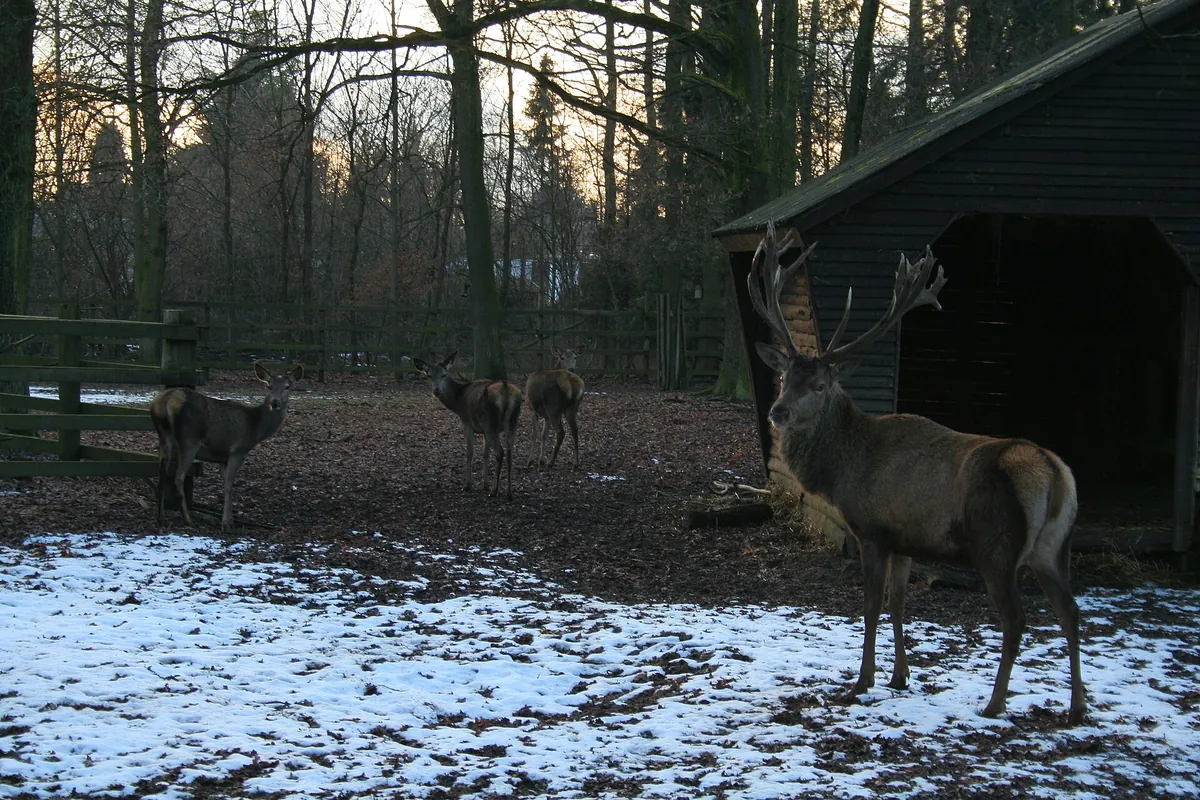 Wildpark Tannenbusch