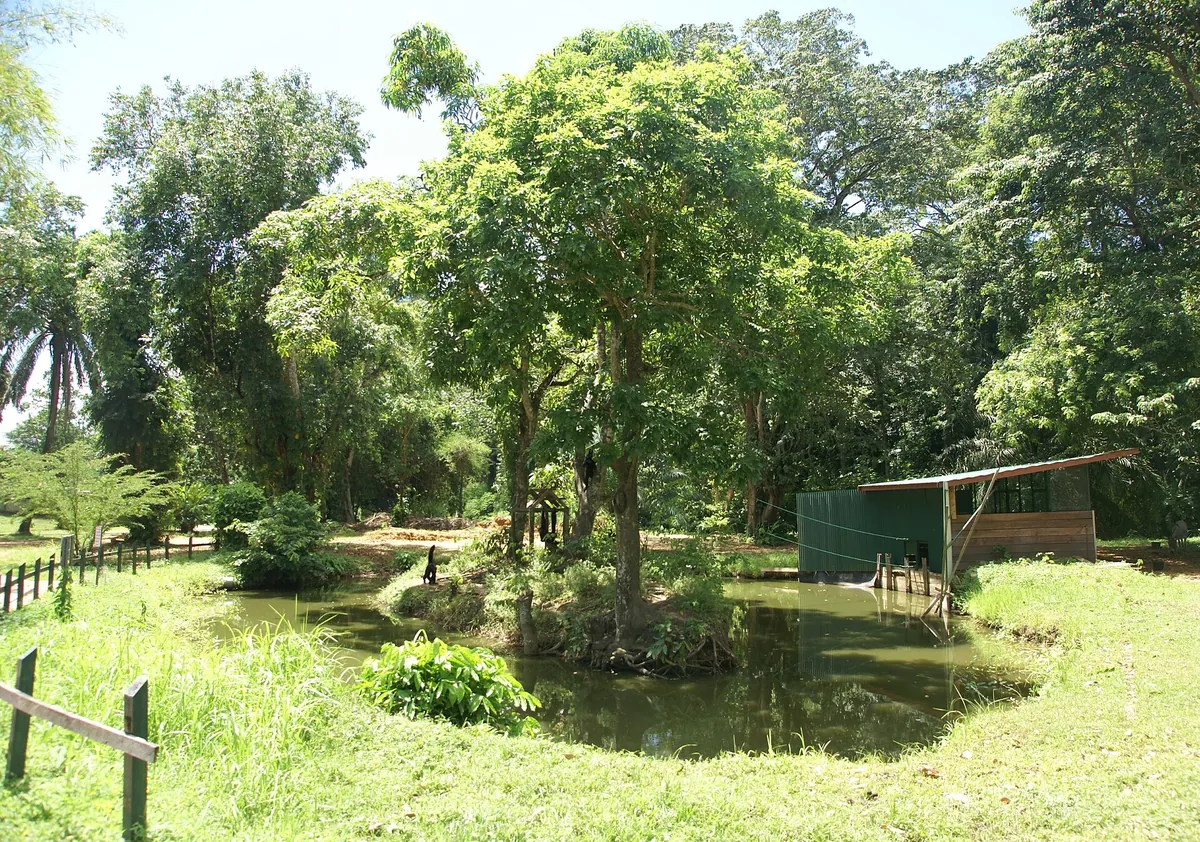 Paramaribo Zoo