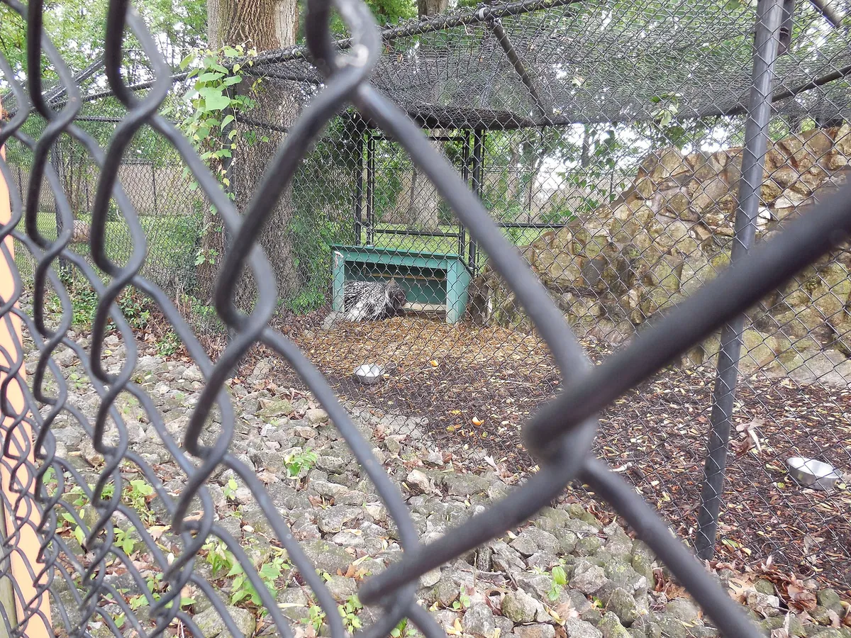 Henson Robinson Zoo