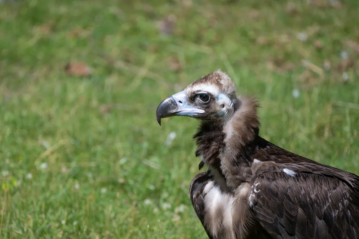 Milwaukee County Zoological Gardens