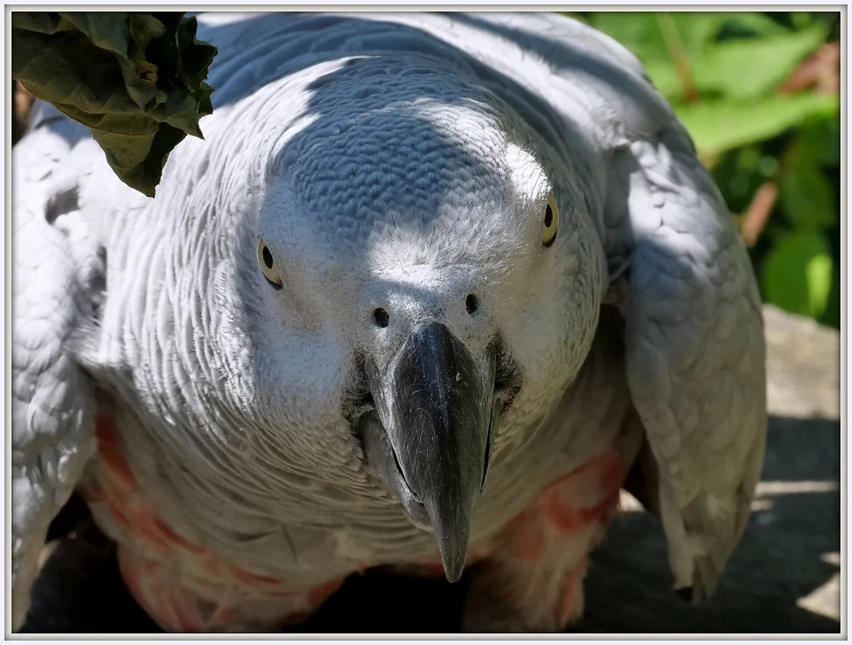 Tierpark Herborn