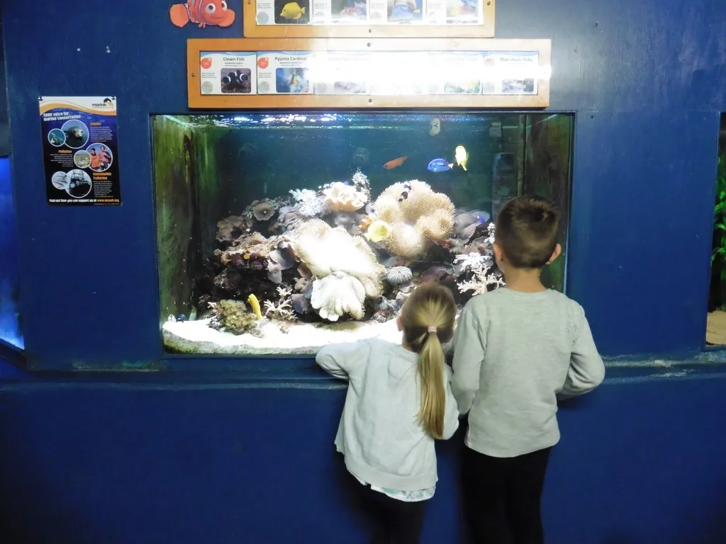 Tropiquaria